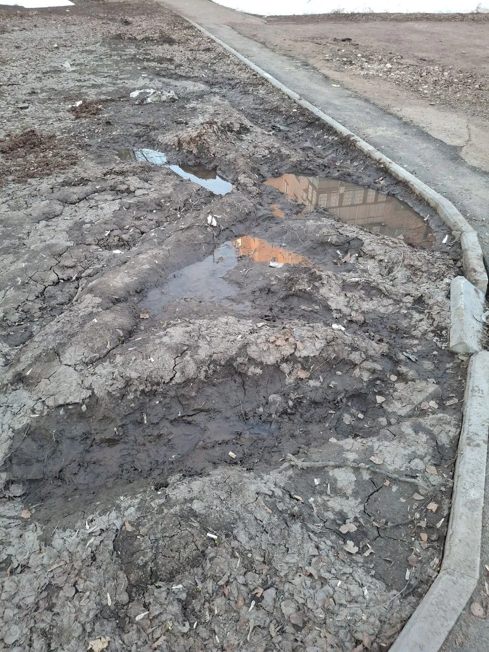 Нижнекамцы жалуются на голые газоны и разруху в парке Шинник